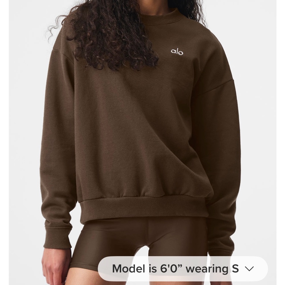 ALO Yoga Brown Sweater